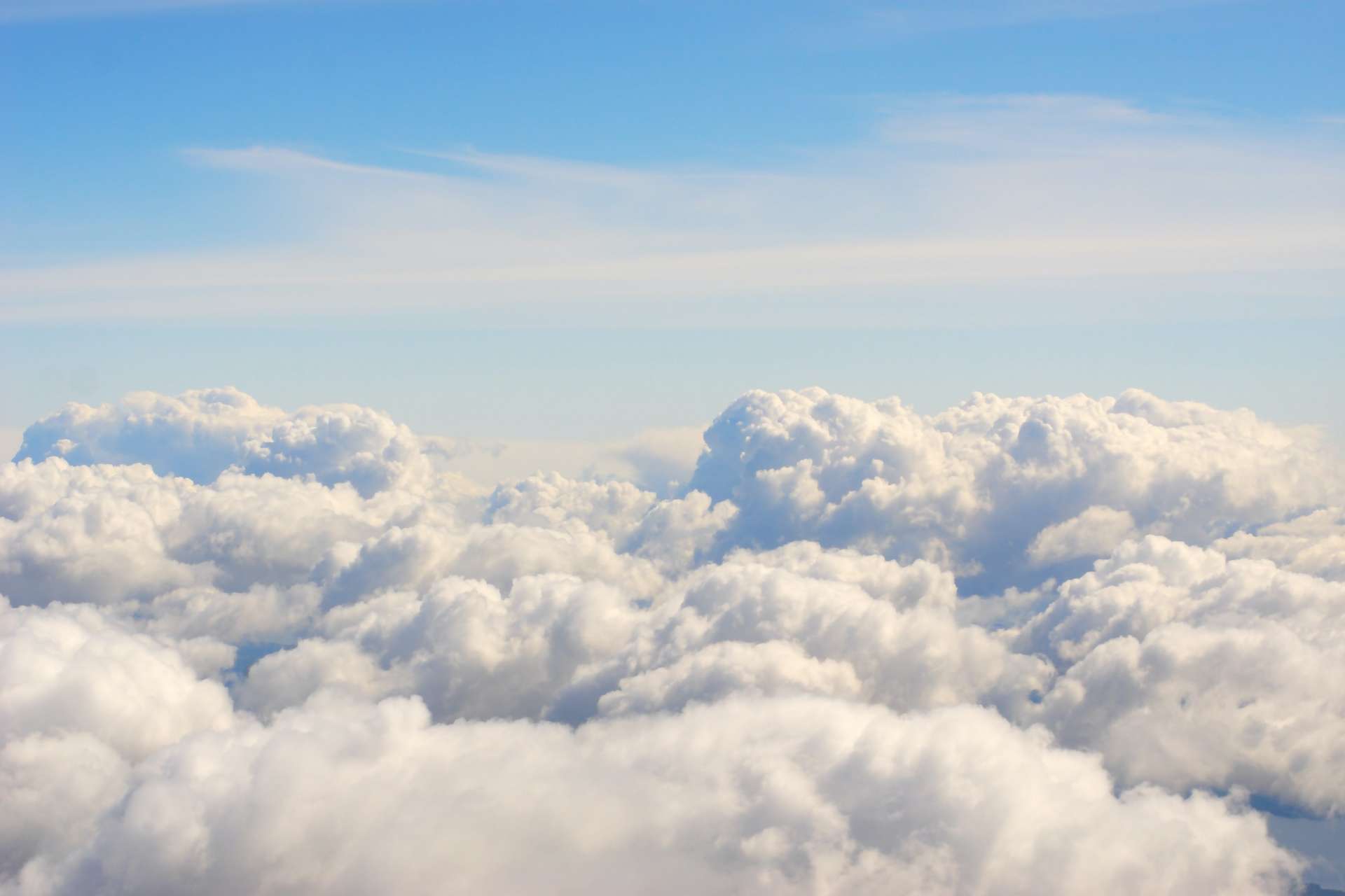 云的秘密：植物释放的碳氢化合物如何塑造我们的天空